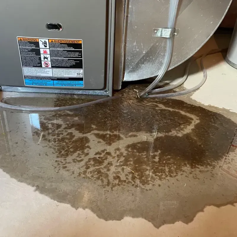 Appliance Leak Cleanup in Sullivan County, TN